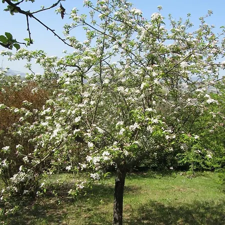 Casale Del Monte شقة *