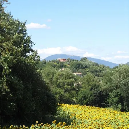 Casale Del Monte Apartmán Barchi