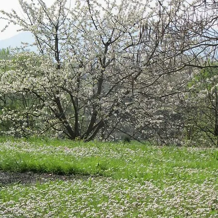Casale Del Monte