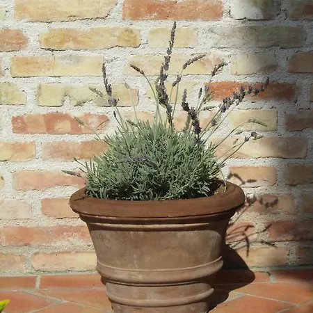 شقة Casale Del Monte