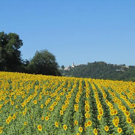 Casale Del Monte Barchi
