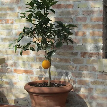 Casale Del Monte *