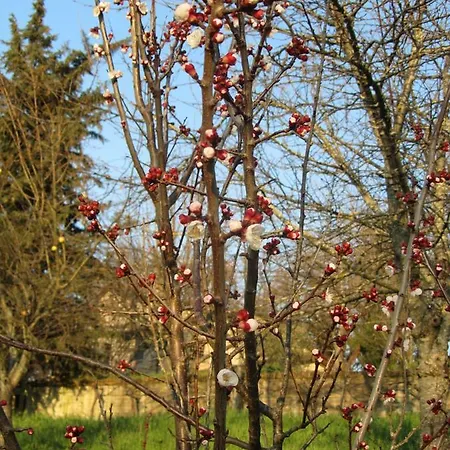 Casale Del Monte شقة *