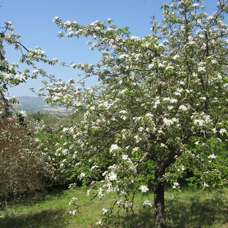 Casale Del Monte *