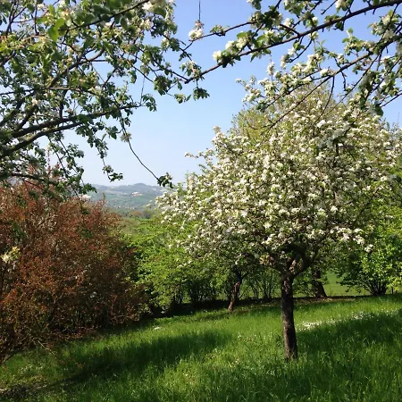 Casale Del Monte Apartment Barchi
